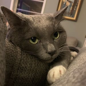 Meet your Posher, Laura